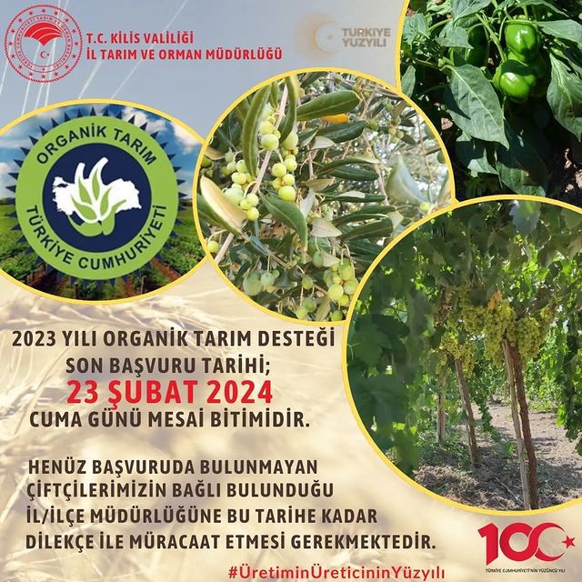 Kilis'te Organik Tarım Çiftçilere Devlet Desteği! Başvurular 23 Şubat'ta Son!