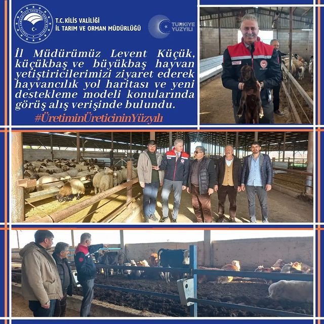 Kilis Tarım ve Orman İl Müdürü Hayvancılık Sektörü için Yeni Destek Modellerini Tartıştı