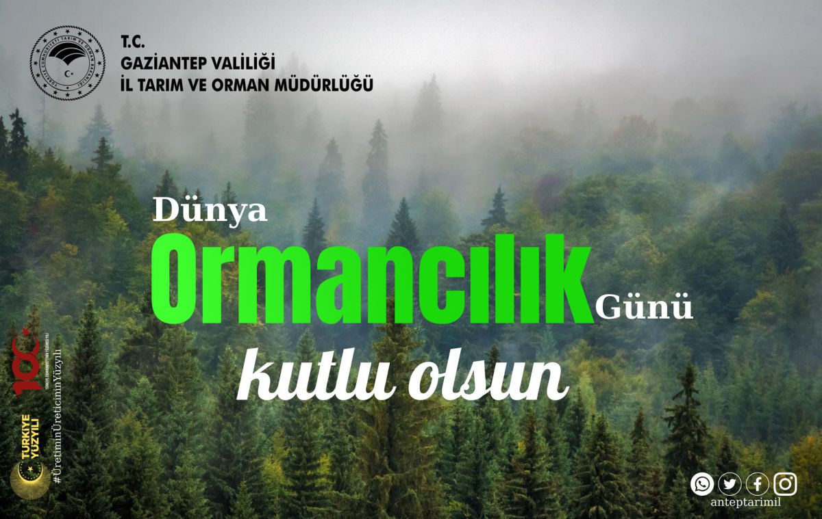 Gaziantep, Dünya Ormancılık Günü'nde ormanlarını korumaya odaklanıyor