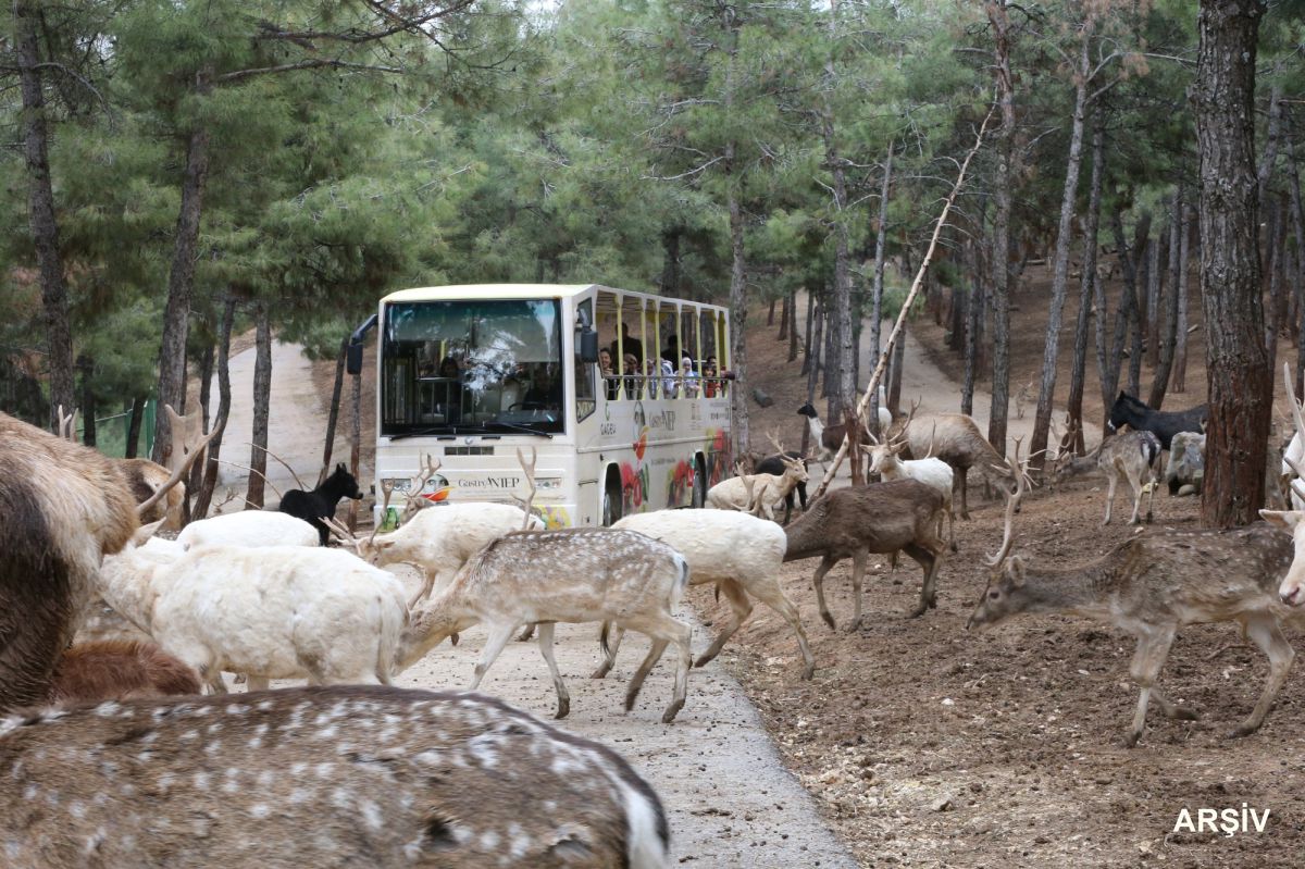 Doğal Yaşam Parkı ziyaretçilerini ağırladı