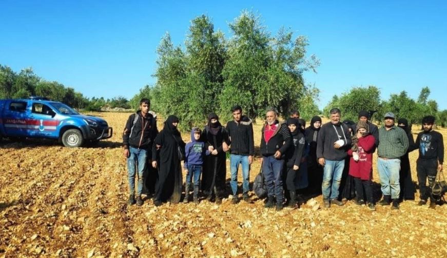 441 düzensiz göçmen yakalandı