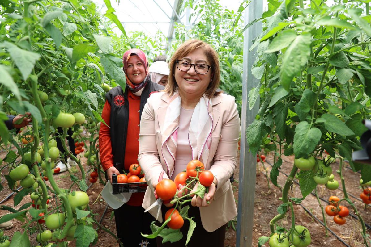 Gaziantep Büyükşehir Belediyesi, Seracı Kadınlar Güçleniyor Projesiyle Kadınlara Destek Veriyor