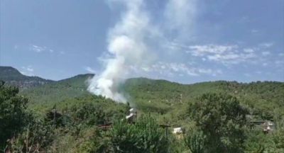 Hatay’da orman yangını