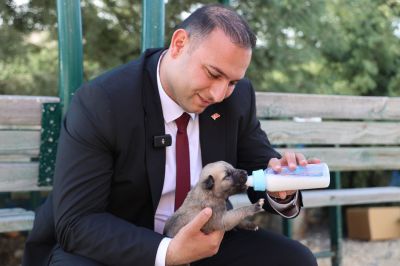 Kilis Belediye Başkanı Sokak Hayvanları Günü'nde köpek barınağını ziyaret etti