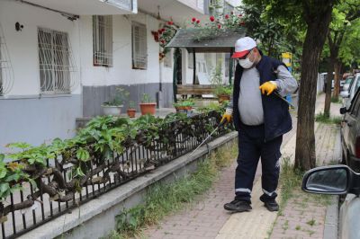 Yaz Aylarında Sıcaklıklar Artarken Sivrisinek ve Haşere Sorunu Yaşanıyor