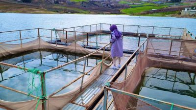 Adıyaman'ın Kahta bölgesindeki su ürünleri yetiştiricilik tesislerinde rutin denetimler gerçekleştirildi